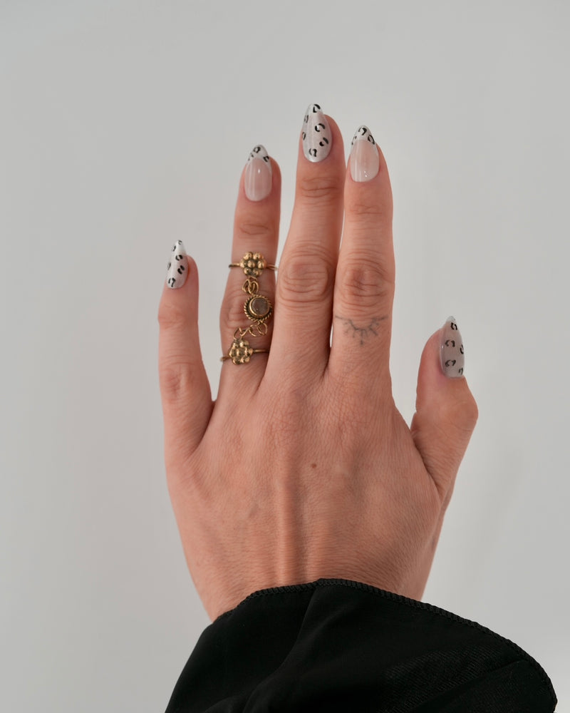 Sheesh Nails x PawsUp Press-on Nails mit schwarz-silbernem Leopardenmuster auf transparentem Untergrund. Hand mit goldenen Ringen präsentiert elegante, wiederverwendbare künstliche Fingernägel im modernen Animal-Print. Trendiges Press-on-Set für auffällige, stilvolle Maniküre mit Glamour-Faktor.